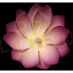 Lanterne Flottante Led Parme - Lanterne Led Nymphea - Lampe Flottante Nénuphar Pour Décoration Extérieure Mariage, Piscine, Décor Extérieur Flottant -OSRAM || EUROPALAMP Soldes Boutique 10361452 3