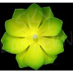 Lanterne Flottante Led Verte - Lanterne Led Nymphea - Lampe Flottante Nénuphar Pour Décoration Extérieure Mariage, Piscine, Décor Extérieur Flottant -OSRAM || EUROPALAMP Soldes Boutique 10361453 3