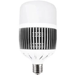 Advanced Star - Ampoule LED LedStar 100W - 2700K