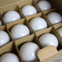 Lot De 12 Ampoules LED B22 1,5W Blanc Chaud (équivalence 15W) Pour Guirlande Extérieure Blanc-chaud-3000k - Non-dimmable -OSRAM || EUROPALAMP Soldes Boutique 16641736 2