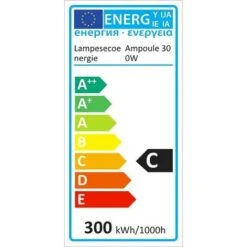 Lot De 5 Ampoules Halogène Linéaire J118 300w R7s Gradable Lumière Chaude 2800K -OSRAM || EUROPALAMP Soldes Boutique 18106803 3
