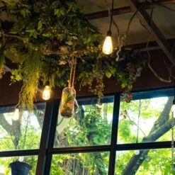 Xanlite - Ampoule à Filament LED Edison, Culot E27, 8W Cons. (75W Eq.), 1055 Lumens, Lumière Blanc Neutre - RFE1055STCW -OSRAM || EUROPALAMP Soldes Boutique 18355850 3