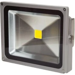 Projecteur LED 30W Blanc Neutre IP65 12-24V DC