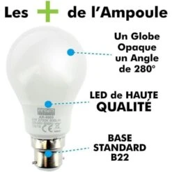 Lot De 10 Ampoules LED B22 8W Eq 60W 806lm Température De Couleur: Blanc Neutre 4000K 8 Lot De 10 Ampoules LED B22 8W Eq 60W 806lm Température De Couleur: Blanc Neutre 4000K -OSRAM || EUROPALAMP Soldes Boutique 31780328 2