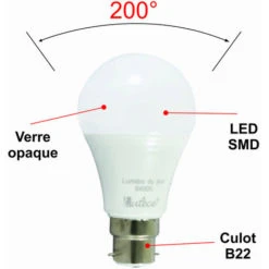 Lot 10 Ampoules LED B22 11,1W 1055Lm 6400K - Garantie 5 Ans -OSRAM || EUROPALAMP Soldes Boutique 37014702 2