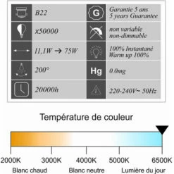 Lot 10 Ampoules LED B22 11,1W 1055Lm 6400K - Garantie 5 Ans -OSRAM || EUROPALAMP Soldes Boutique 37014702 3