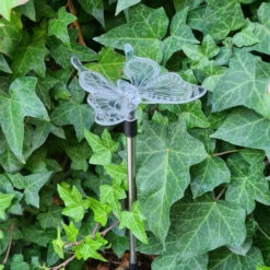 Xanlite - Piquet LED Solaire Papillon, Multicolore, Spéciale Extérieur (IP44) - SOPAPILLONRVB -OSRAM || EUROPALAMP Soldes Boutique 47378680 3