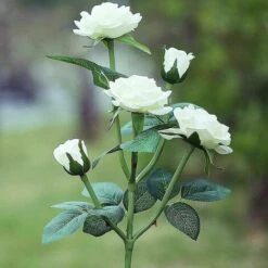 Déstockage Lampes Solaires à LED En Forme De Roses Artificielles Pour Extérieur, Décoration De Jardin, Cour, Patio, Tombe, Cimetière, Balcon, Décoration De Noël – Blanc -OSRAM || EUROPALAMP Soldes Boutique 73838629 3