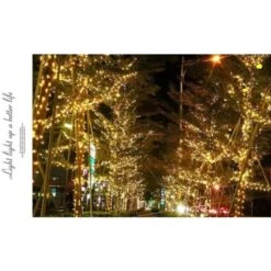 Guirlande Lumineuse Carnaval Mariage Extérieur Jardin Intérieur Éclairage - 50M 500 LED -OSRAM || EUROPALAMP Soldes Boutique 78189583 3