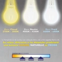 Lot De 10 Ampoules LED E27 6W Filament Eq. 54W Blanc Chaud 2700K -OSRAM || EUROPALAMP Soldes Boutique 8627837 2