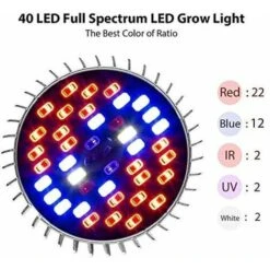 OSRAM || EUROPALAMP Soldes Boutique -OSRAM || EUROPALAMP Soldes Boutique 89651205 2