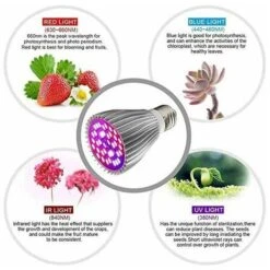 Ampoule Horticole E27 LED Pour Plantes, 30W E27 Avec 40LED Lampe Plante à Spectre Complet, AC 85-265V, Lampe The Croissance Et Fleurs Intérieur Pour Jardin/Culture Hydroponique/Aquarium, Lot De 2 [Cla -OSRAM || EUROPALAMP Soldes Boutique 89651205 4