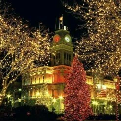 Guirlande Lumineuse Carnaval Mariage Extérieur Jardin Intérieur Éclairage - 50M 400 LED -OSRAM || EUROPALAMP Soldes Boutique 90601276 3