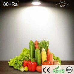 MR16 Ampoule LED Lampe Bulb, GU5.3 5W Lumière LED, Equivalent 50W Ampoule Halogène Blanc Froid 6000K 450LM AC/DC 12V-24V Non-dimmable Spot LED (Lot De 10) [Classe énergétique F] -OSRAM || EUROPALAMP Soldes Boutique 95793453 5